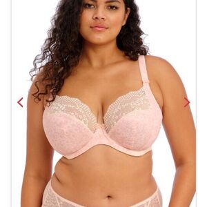 Elomi Plunge 36J. NWT